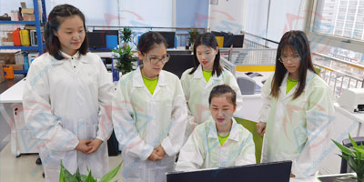 Ӌ(j��)���ͷ����r(sh��)�������(w��)�DƬ