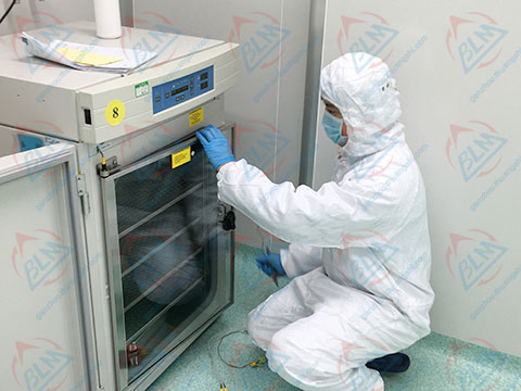 ���W�x���z���DƬ